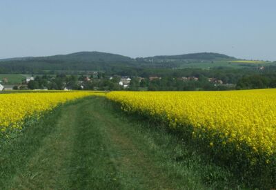 Blick auf Friedersdorf